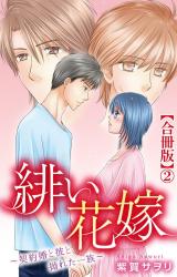 緋い花嫁～契約婚と彼と拗れた一族～【合冊版】2 パッケージ画像