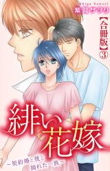 緋い花嫁～契約婚と彼と拗れた一族～【合冊版】3 パッケージ画像