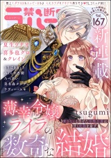 禁断Lovers Vol.167 パッケージ画像
