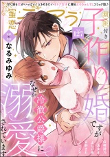 蜜恋ティアラ Vol.127 パッケージ画像