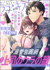 ラブキス！more Vol.26 パッケージ画像