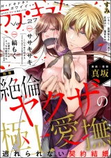ラブキス！more Vol.27 パッケージ画像