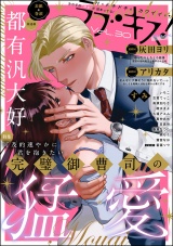 ラブキス！more Vol.30 パッケージ画像