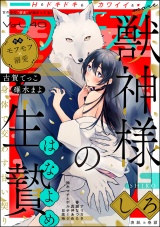 ラブキス！more Vol.40 パッケージ画像