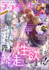 ラブキス！more Vol.61 パッケージ画像