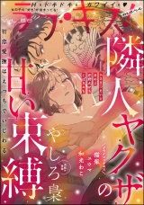 ラブキス！more Vol.66 パッケージ画像