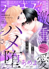 ラブキス！more Vol.80 パッケージ画像