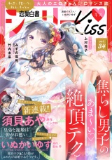 恋愛白書シェリーKiss vol.34 パッケージ画像