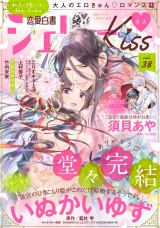 恋愛白書シェリーKiss vol.38 パッケージ画像