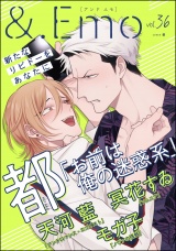 ＆.Emo vol.36 パッケージ画像