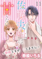 佐藤夫婦は甘くない〜新婚ですが、シてません〜 11 パッケージ画像