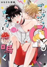 ごちそうΩはチュウと鳴く 第13話 パッケージ画像
