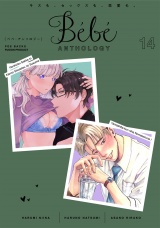 Bebe vol.14 パッケージ画像