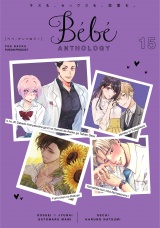 Bebe vol.15 パッケージ画像