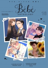 Bebe vol.16 パッケージ画像