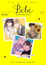 Bebe vol.17 パッケージ画像