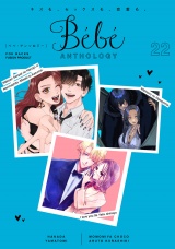 Bebe vol.22 パッケージ画像