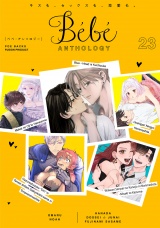 Bebe vol.23 パッケージ画像