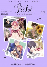 Bebe vol.27 パッケージ画像