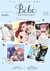Bebe vol.28 パッケージ画像