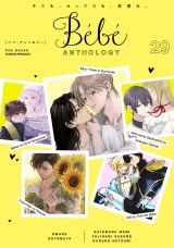 Bebe vol.29 パッケージ画像