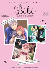Bebe vol.30 パッケージ画像