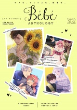 Bebe vol.32 パッケージ画像