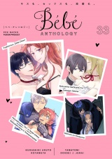 Bebe vol.33 パッケージ画像