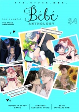 Bebe vol.34 パッケージ画像