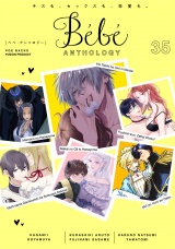 Bebe vol.35 パッケージ画像