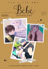 Bebe vol.37 パッケージ画像