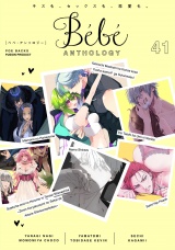 Bebe vol.41 パッケージ画像