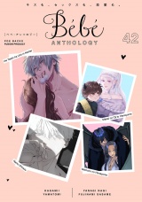 Bebe vol.42 パッケージ画像