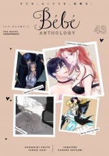 Bebe vol.43 パッケージ画像