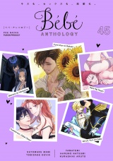 Bebe vol.45 パッケージ画像