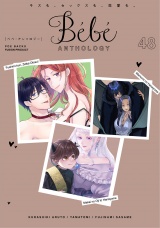 Bebe vol.48 パッケージ画像