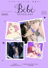Bebe vol.50 パッケージ画像