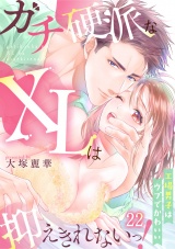 ガチ硬派なXLは抑えきれないっ！工場男子はウブでかわいい(22) パッケージ画像