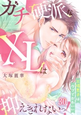 ガチ硬派なXLは抑えきれないっ！工場男子はウブでかわいい(30) パッケージ画像