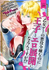 乙女ゲーの悪役令嬢なのに王子とエロ展開になるんですが!?(20) パッケージ画像