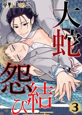 大蛇と怨結び 3 パッケージ画像