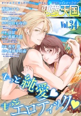 恋愛天国　Vol.34 パッケージ画像