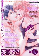 恋愛天国　Vol.47 パッケージ画像