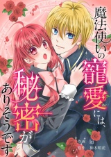 魔法使いの寵愛には、秘密がありそうです 9 パッケージ画像