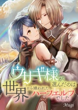 ウサギ様が選んだのは世界から嫌われたハーフエルフでした 6 パッケージ画像