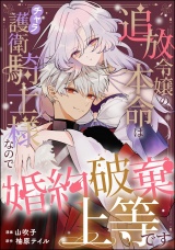 【単話版】追放令嬢の本命はチャラ護衛騎士様なので婚約破棄上等です パッケージ画像