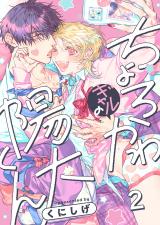 ちょろかわギャルの陽大くん2 パッケージ画像