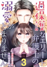 【分冊版】過保護なエリート弁護士の溺愛がとまりません3話 パッケージ画像