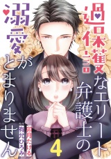 【分冊版】過保護なエリート弁護士の溺愛がとまりません4話 パッケージ画像