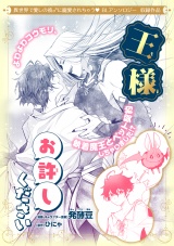 王様お許しください パッケージ画像